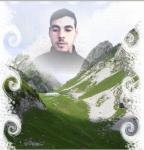 patik.vip-blog.com